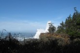 Shore acres13.jpg